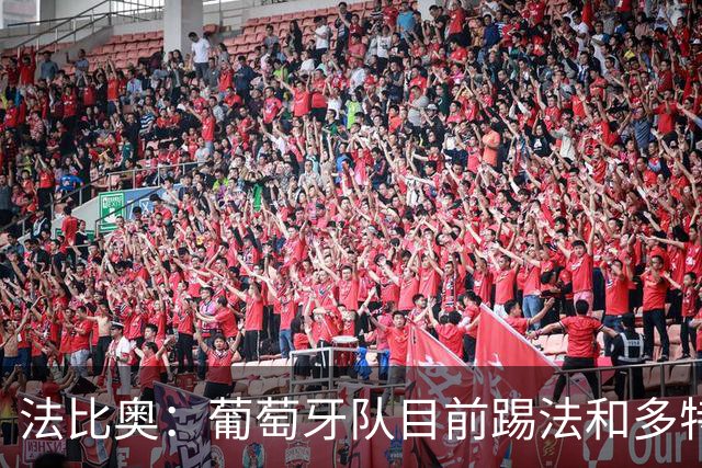 法比奥：葡萄牙队目前踢法和多特相似，我很期待接下来的训练